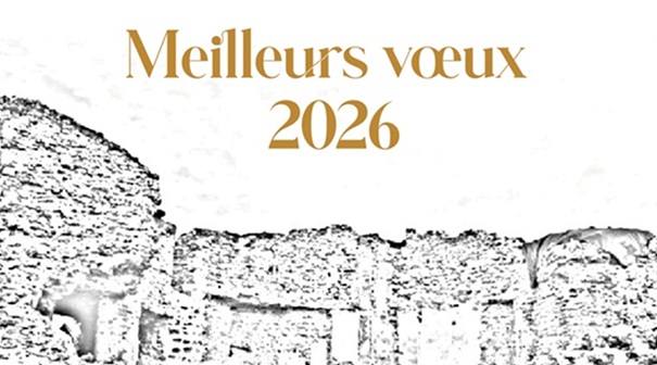 *** Meilleurs vœux pour 2026 ***