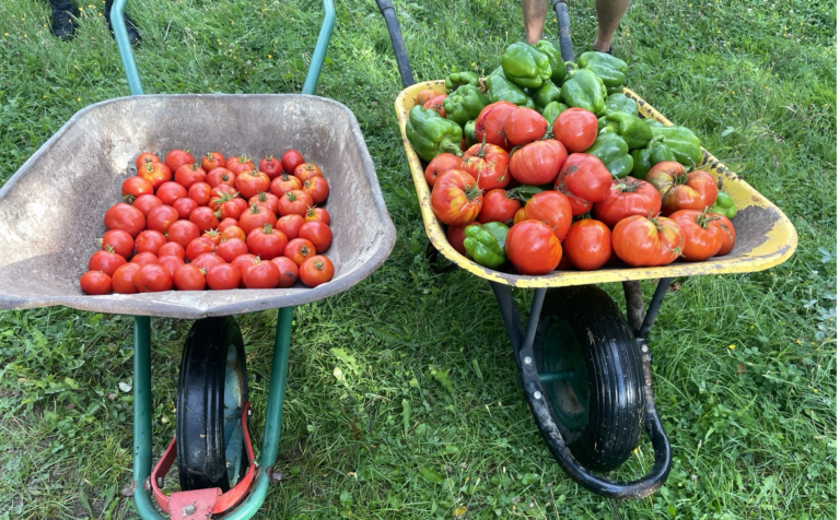 Animation ouverte à tous au potager de l’Epi Castelfortain samedi 14 mars (reportée) à midi !