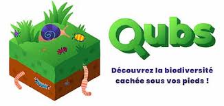 Atlas de la Biodiversité communale : atelier d’Observation de la faune du sol le 6 mai