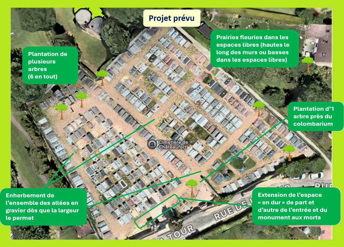 Végétalisation du cimetière – Principes et planification des travaux